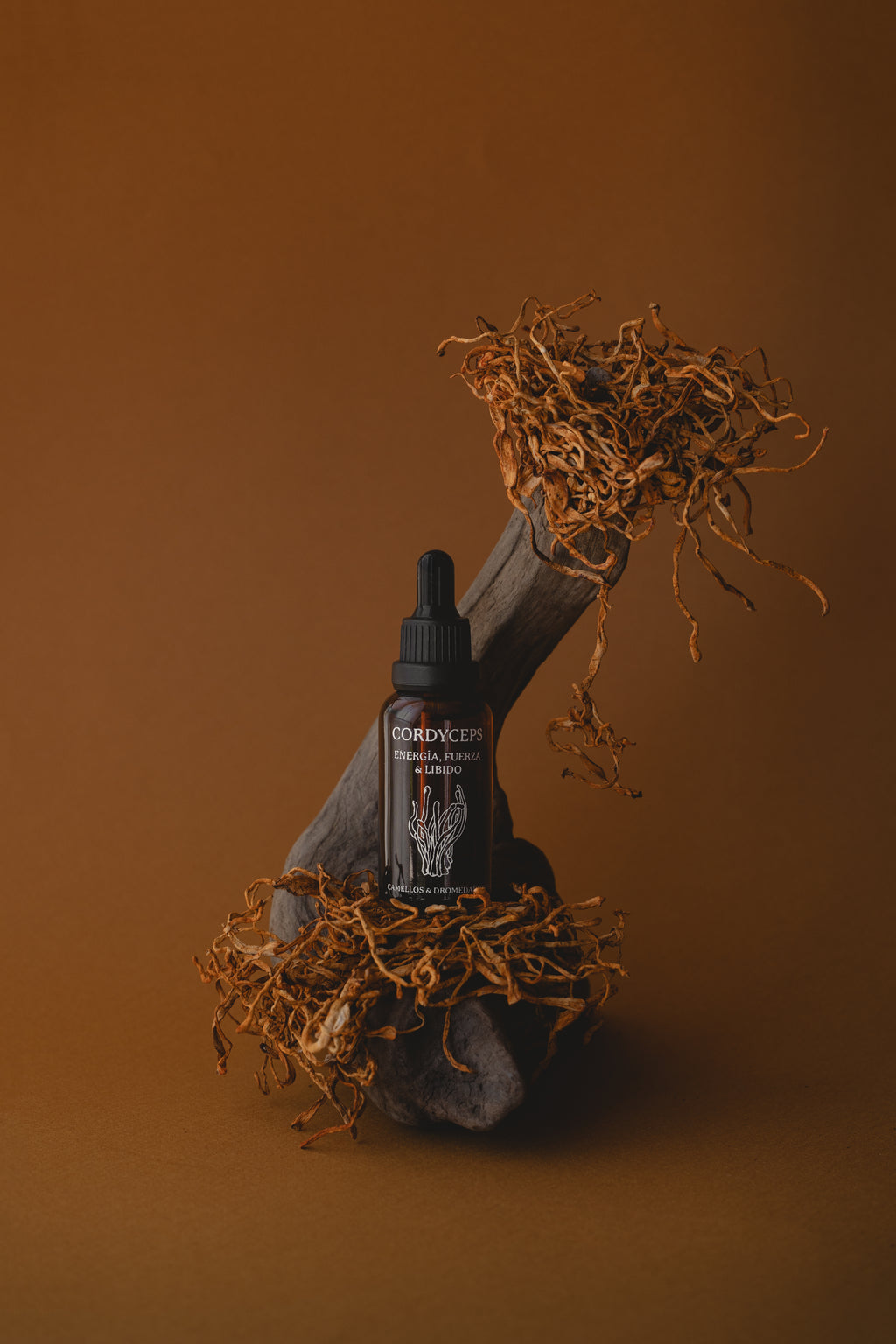 Cordyceps - Energía, Fuerza & Libido